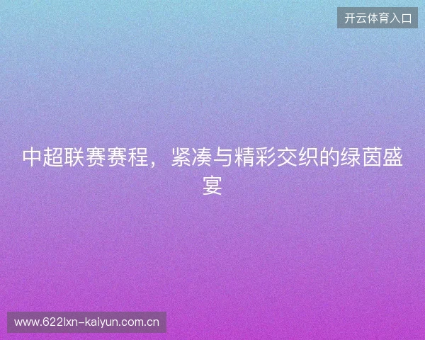 中超联赛赛程，紧凑与精彩交织的绿茵盛宴